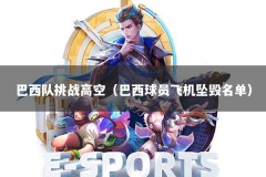 巴西队挑战高空（巴西球员飞机坠毁名单）