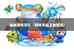 加维西班牙队（西班牙后卫加西亚）