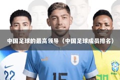 中国足球的最高领导（中国足球成员排名）