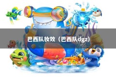 巴西队妆效（巴西队dgz）