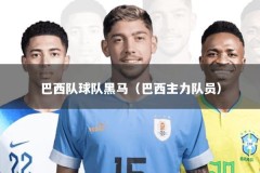 巴西队球队黑马（巴西主力队员）