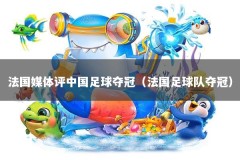 法国媒体评中国足球夺冠（法国足球队夺冠）