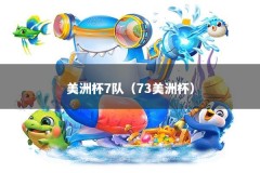 美洲杯7队（73美洲杯）