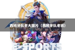 西班牙队老大图片（西班牙队老将）