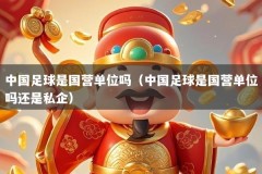 中国足球是国营单位吗（中国足球是国营单位吗还是私企）