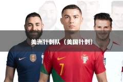 美洲针刺队（美国针刺）