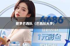 肥罗巴西队（巴西队大罗）