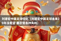 刘建宏中国足球归化（刘建宏中国足球未来20年没希望 要忍受各种失利）