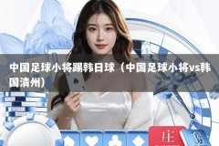 中国足球小将踢韩日球（中国足球小将vs韩国清州）