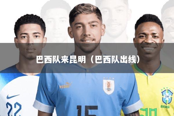 巴西队来昆明(巴西队出线)